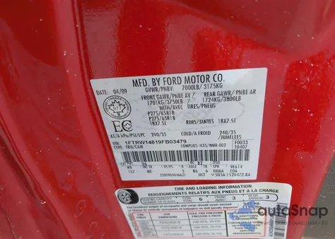 2009 Ford F-150 Xl/Xlt z USA, uszkodzony, nr VIN 1FTRW14819FB03479